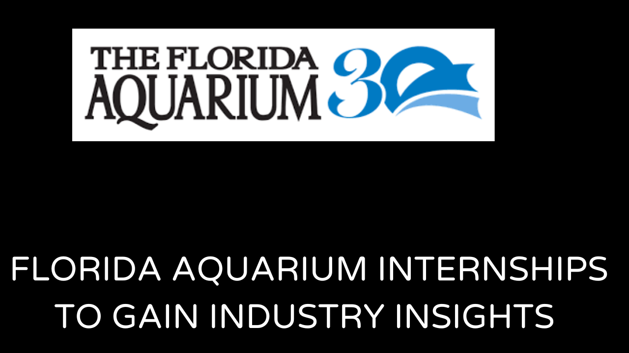 Florida Aquarium Internships