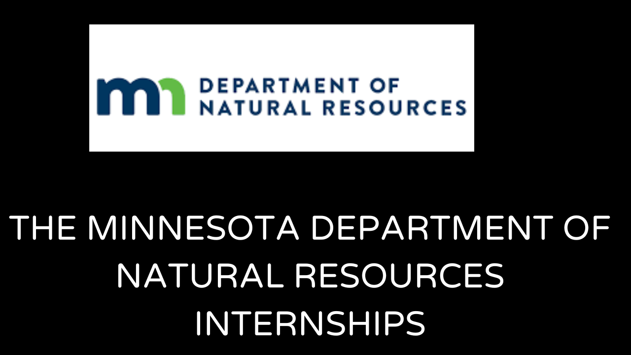 MN DNR Internships