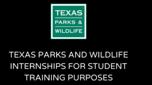 Texas Parks And Wildlife Internships