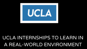 UCLA Internships