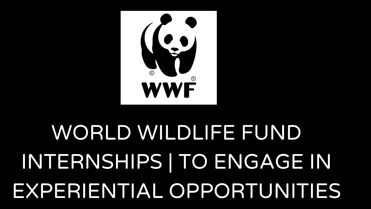 World Wildlife Fund internships