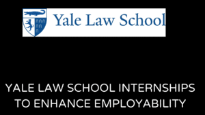 yale law school internships